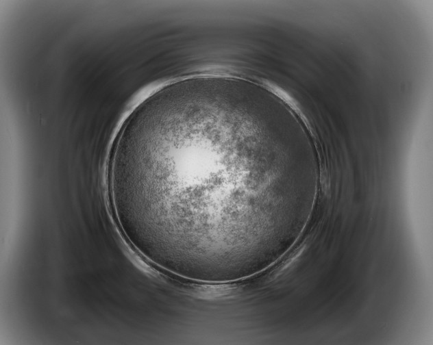 X0000085291482200703091359