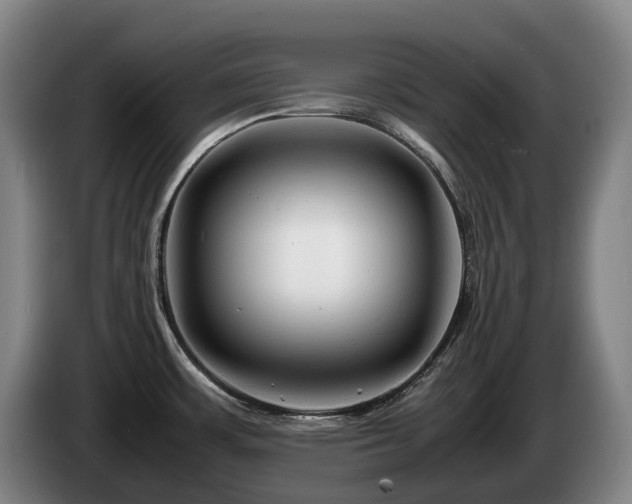 X0000085291483200703091359
