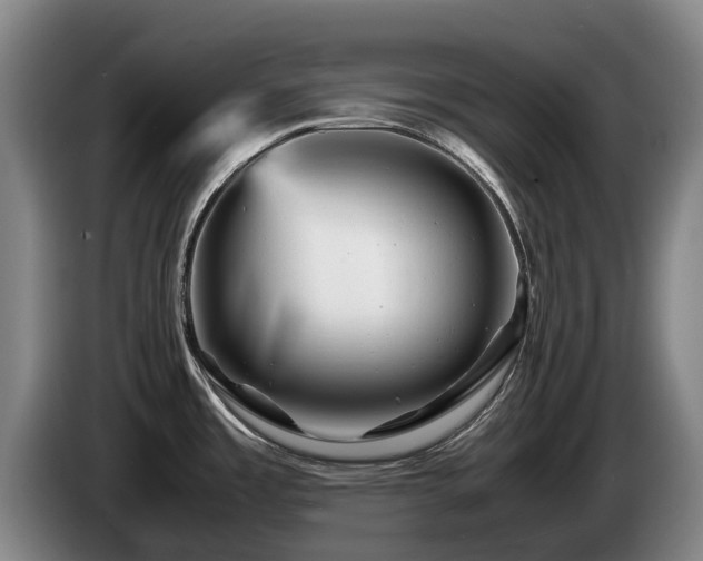 X0000085291485200703091359
