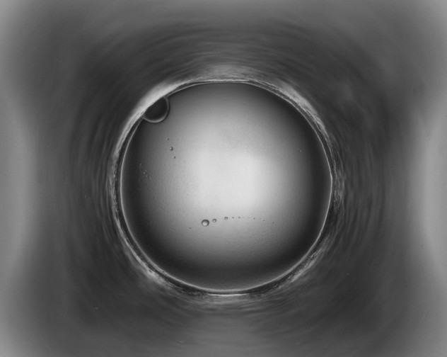X0000085291486200703091359