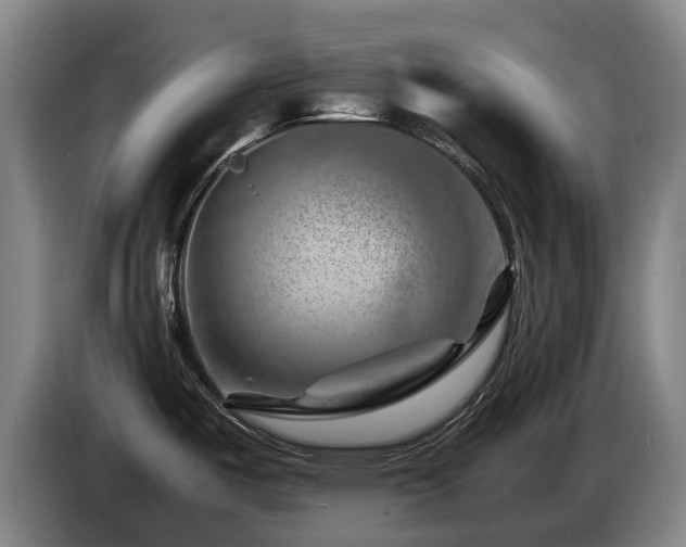 X0000085291487200703091358