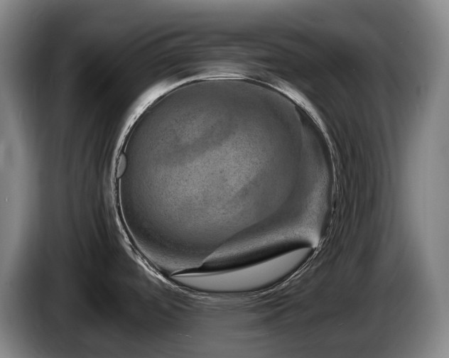 X0000085291488200703091358