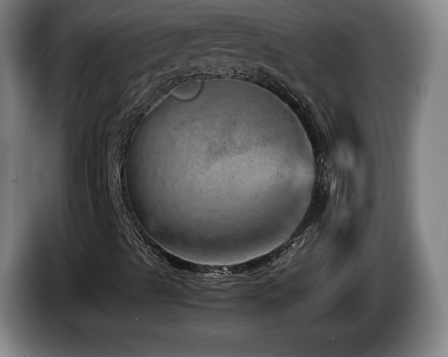 X0000085291489200703091358