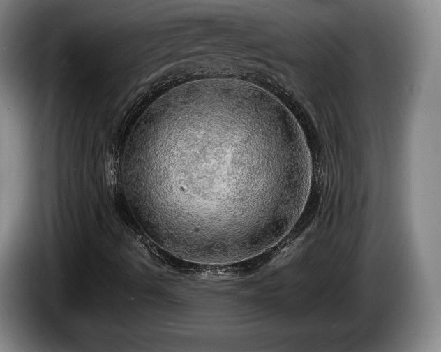 X0000085291490200703091358