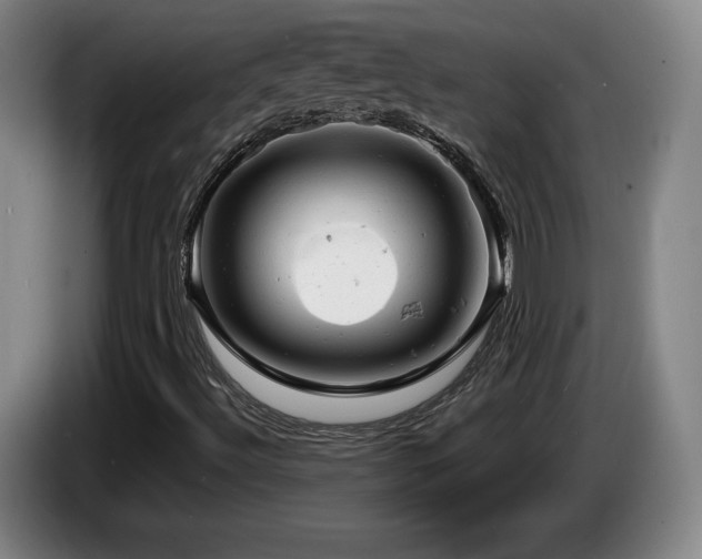 X0000085291492200703091358