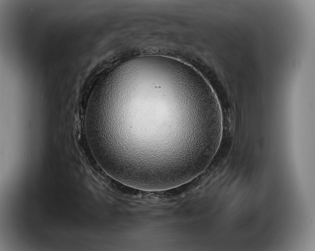 X0000085291493200703091358