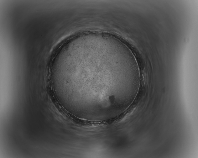 X0000085291494200703091358