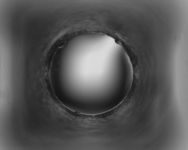 X0000085291495200703091358