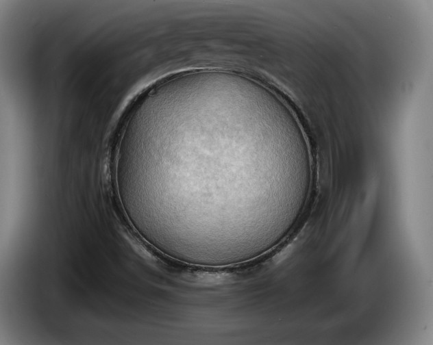 X0000085291498200703091358