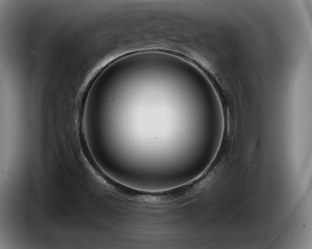 X0000085291500200703091358