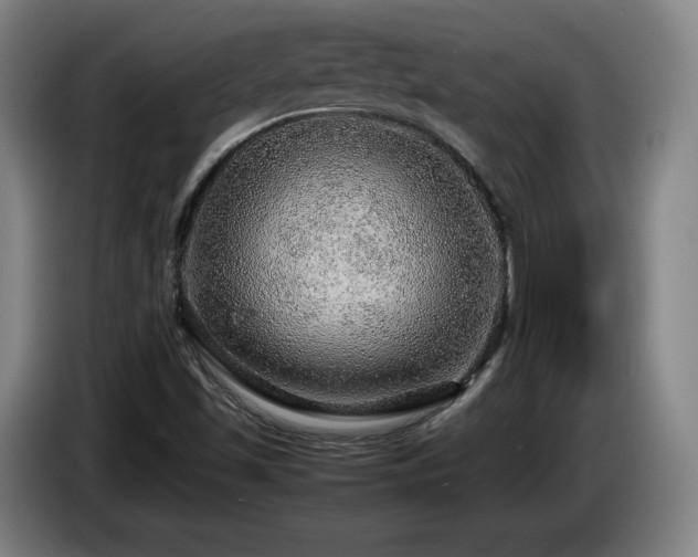 X0000085291501200703091358