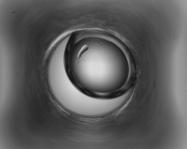 X0000085291502200703091358