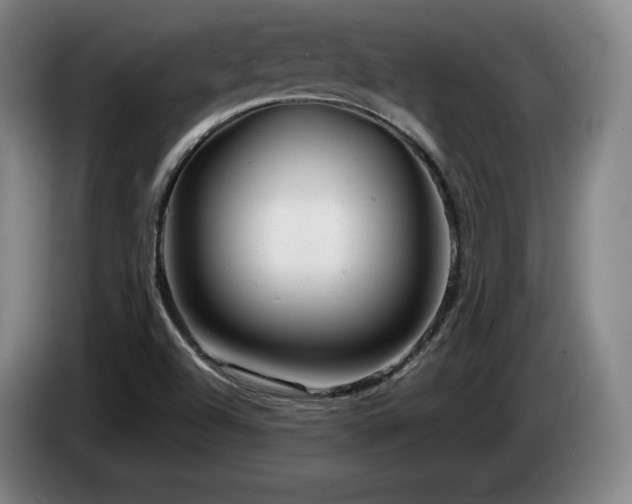 X0000085291504200703091358