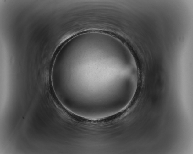 X0000085291505200703091358