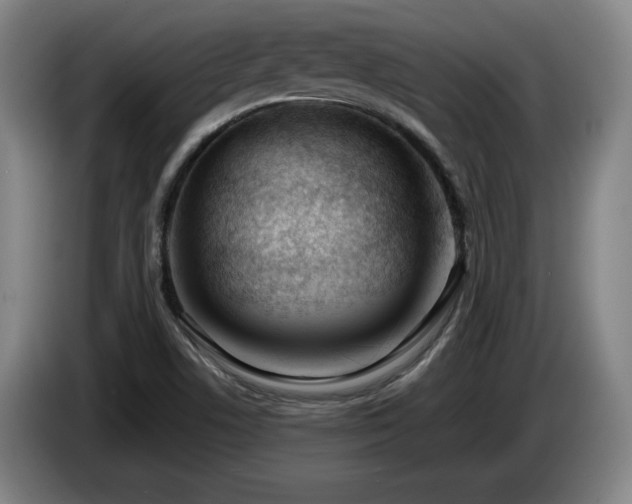 X0000085291506200703091358