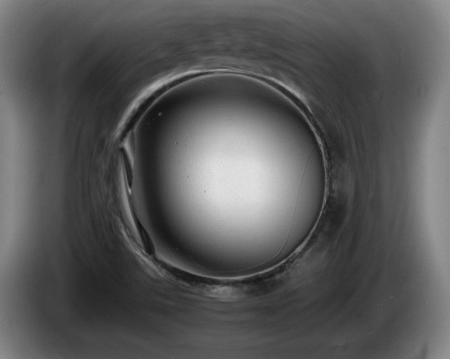 X0000085291507200703091358