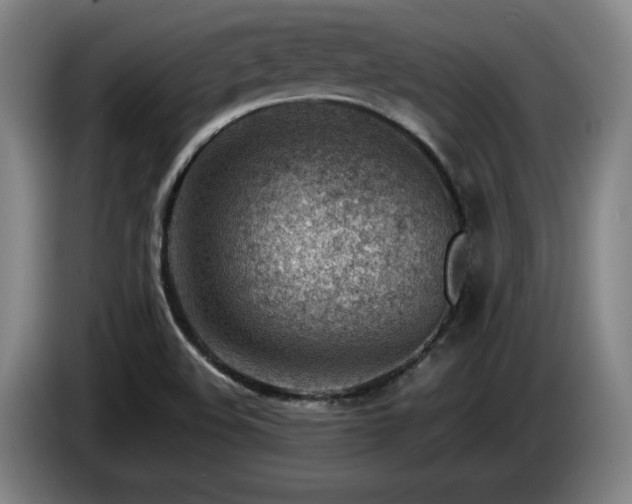X0000085291508200703091358