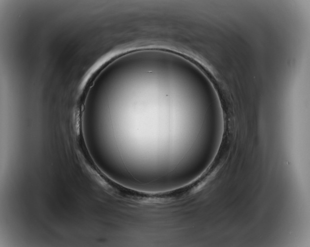 X0000085291510200703091358