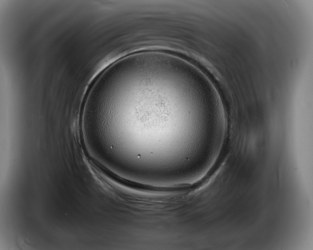 X0000085291513200703091358