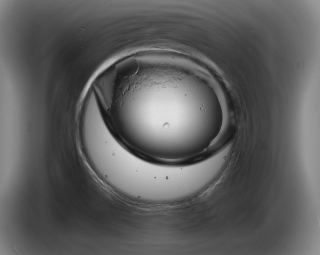 X0000085291514200703091358