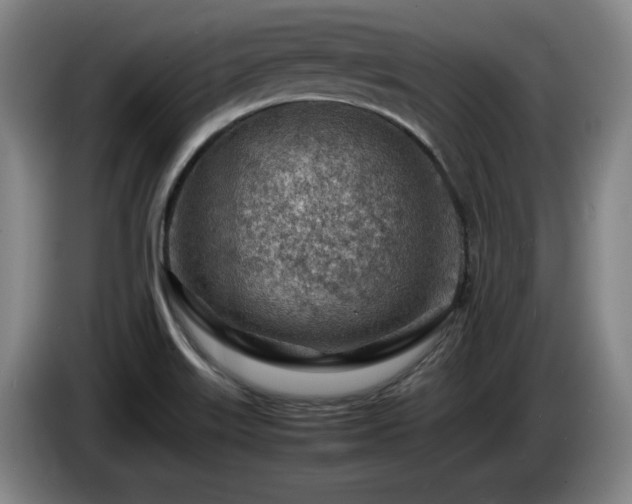 X0000085291515200703091358