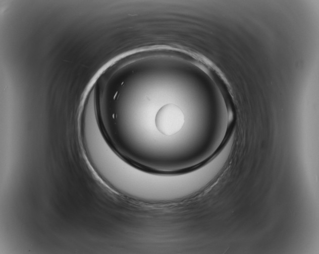 X0000085291516200703091358