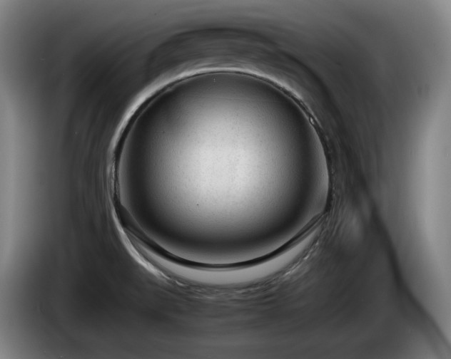 X0000085291519200703091358