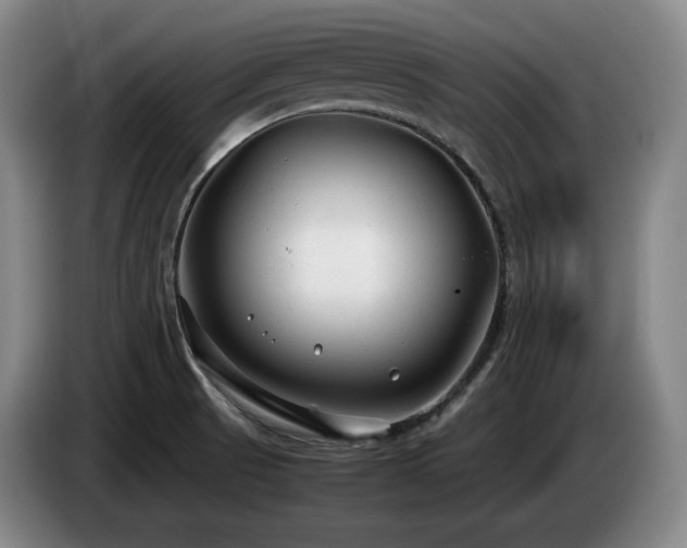 X0000085291521200703091358