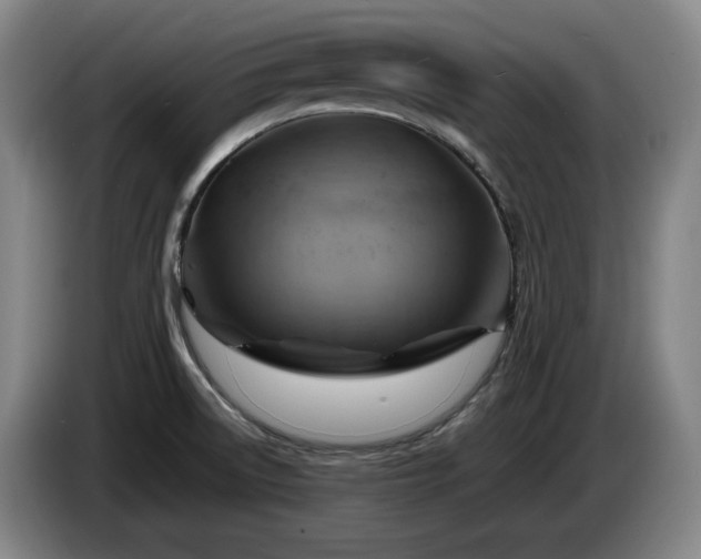 X0000085291522200703091358