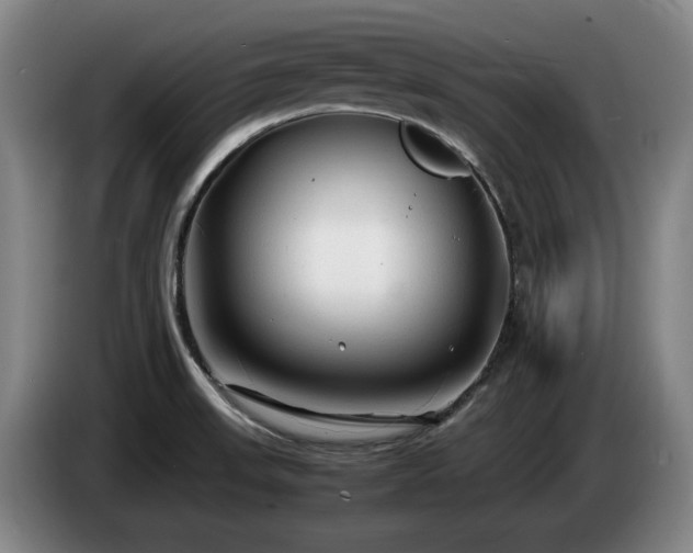 X0000085291523200703091358