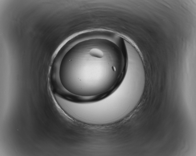 X0000085291524200703091358