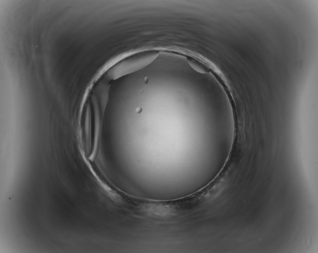 X0000085291525200703091358