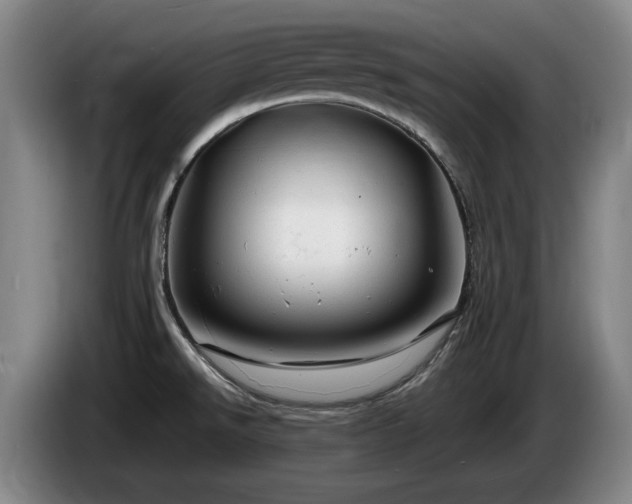 X0000085291526200703091358