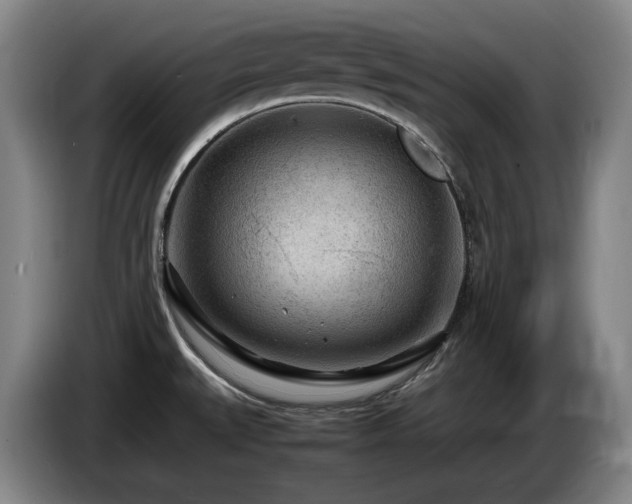 X0000085291527200703091358