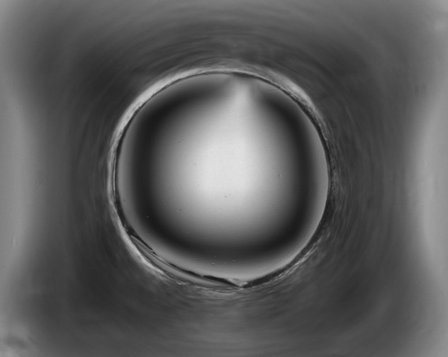 X0000085291528200703091358