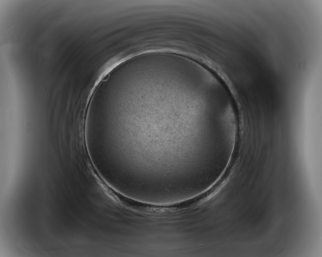 X0000085291529200703091358