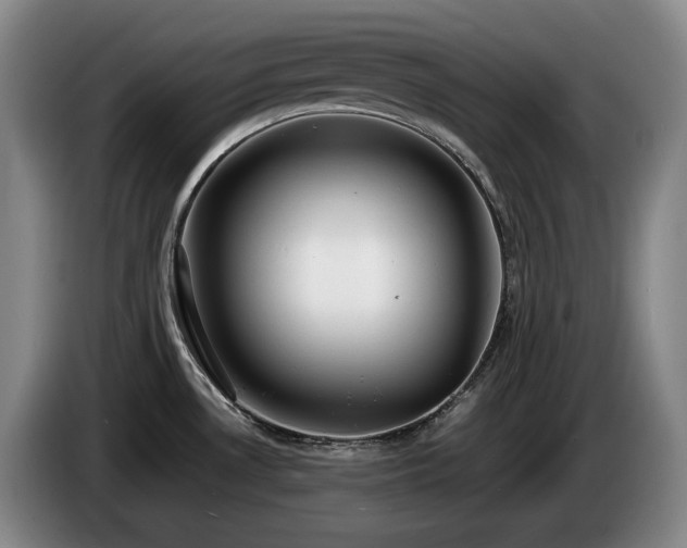 X0000085291530200703091358
