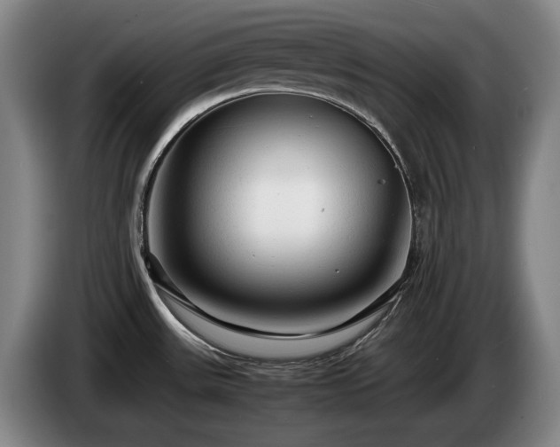 X0000085291531200703091358