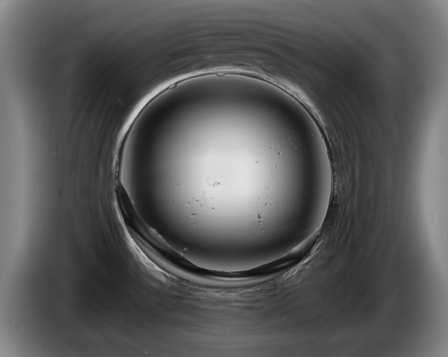 X0000085291532200703091358