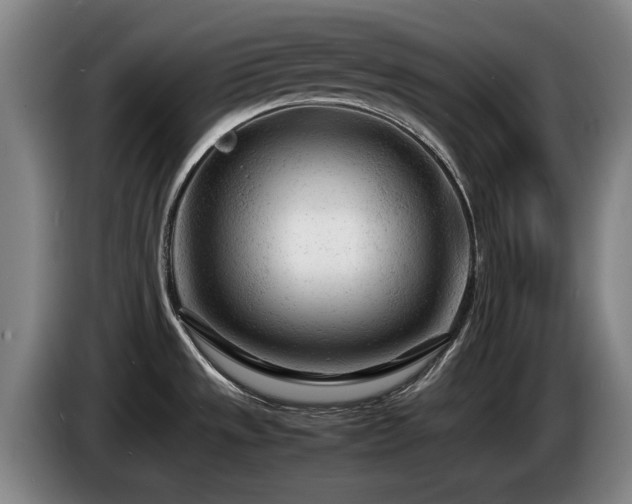 X0000085291533200703091358