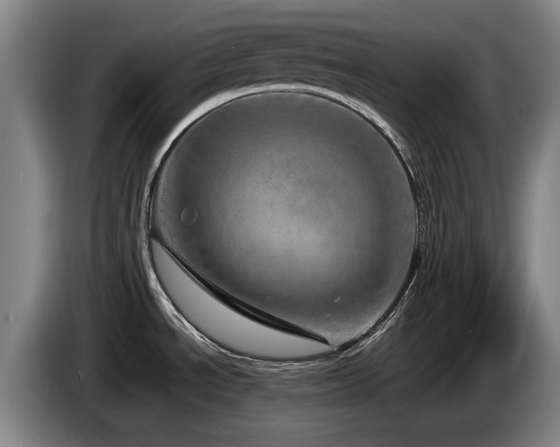 X0000085291534200703091358