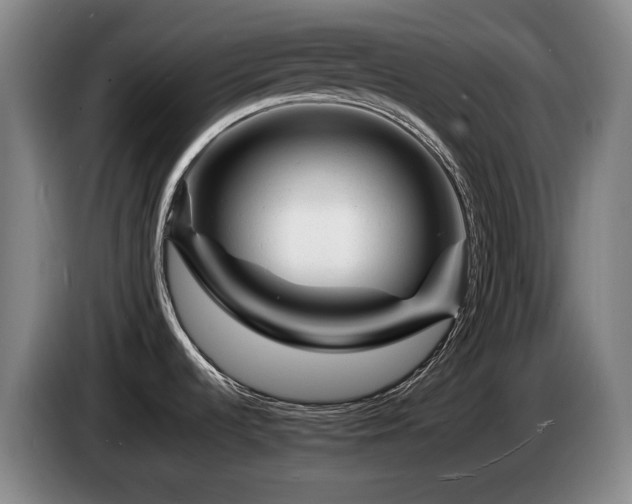 X0000085291536200703091358