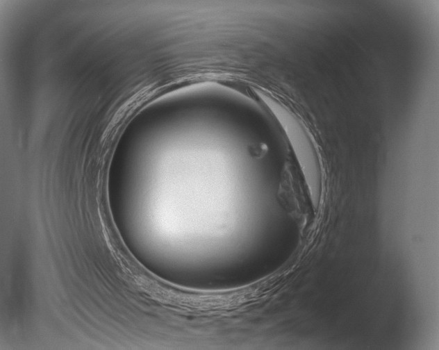 X0000085290001200703161502