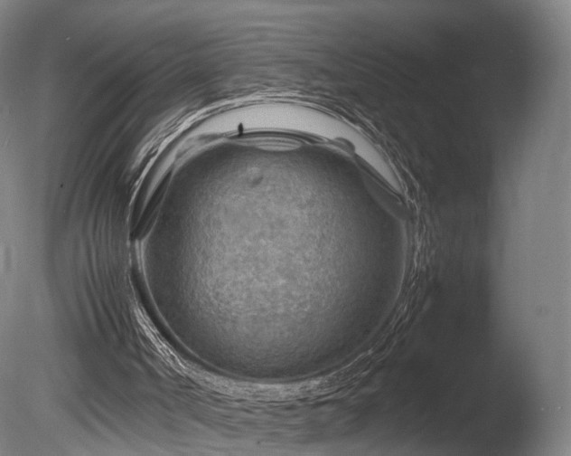 X0000085290002200703161502