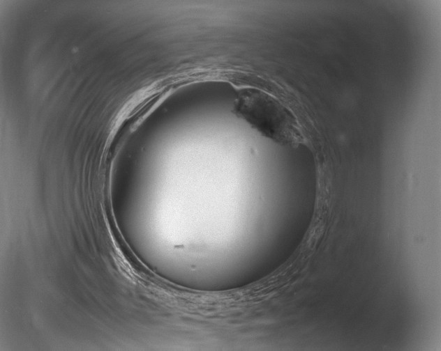 X0000085290003200703161502