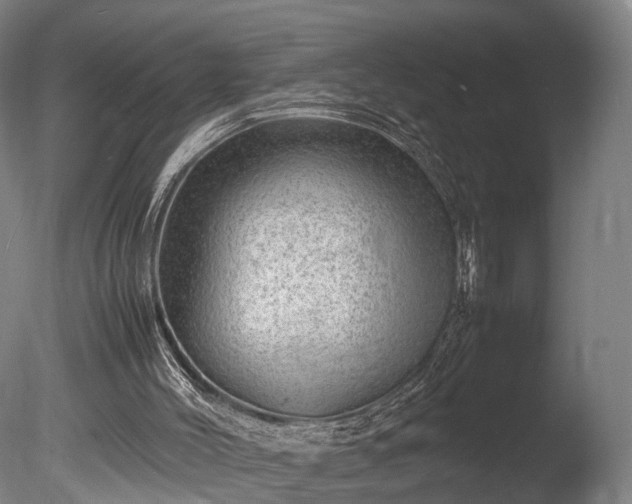 X0000085290004200703161502