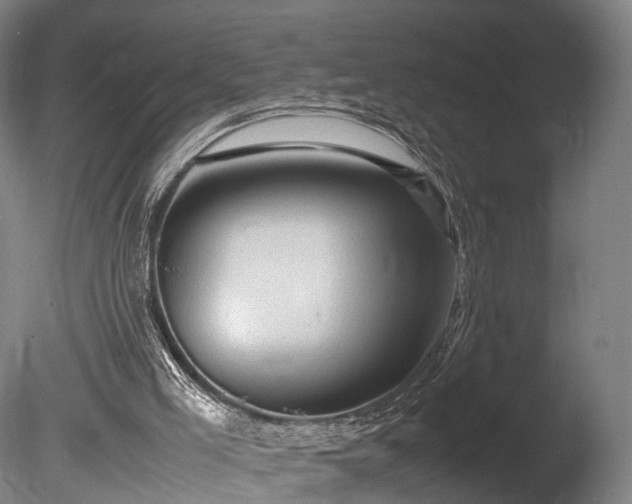 X0000085290005200703161502