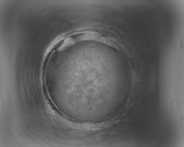 X0000085290006200703161502