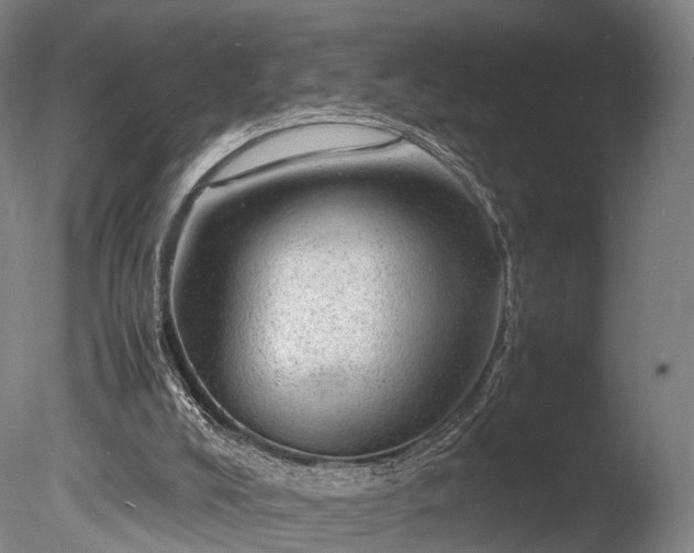 X0000085290008200703161502