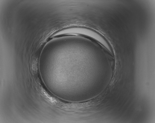 X0000085290009200703161502